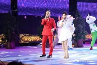 春晚演员爆料大全最新视频,揭秘幕后精彩瞬间